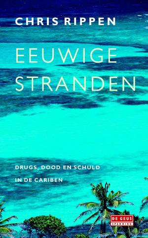 Cover of the book Eeuwige stranden by Jan Simoen