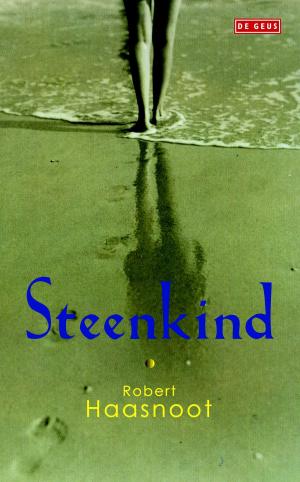 Cover of the book Steenkind by Lucas Zandberg