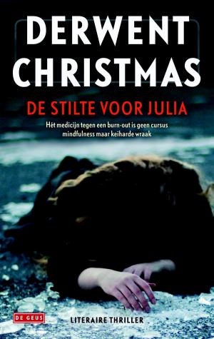 Cover of the book De stilte voor Julia by Maarten 't Hart