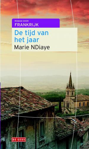 Cover of the book De tijd van het jaar by Lisette Lewin