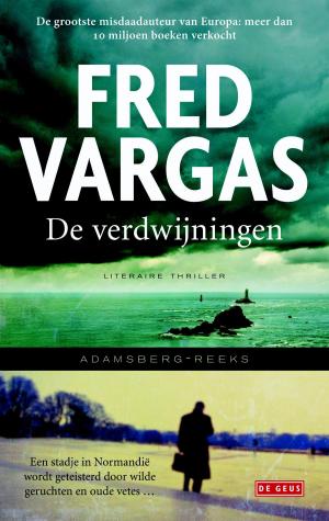 Cover of the book De verdwijningen by Annelies Verbeke