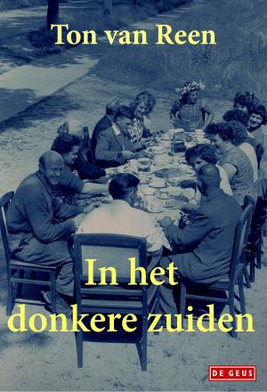 Cover of the book In het donkere zuiden by Theun de Vries