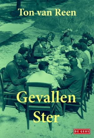 Cover of the book Gevallen ster by Ronald Giphart