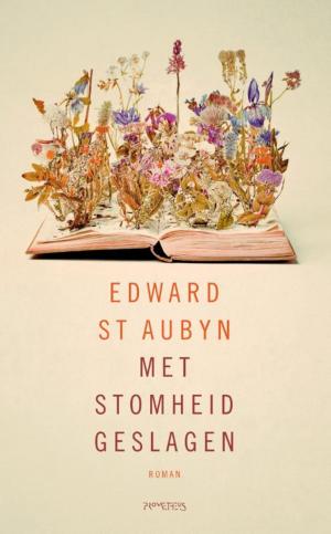 Cover of the book Met stomheid geslagen by Iris Sommer