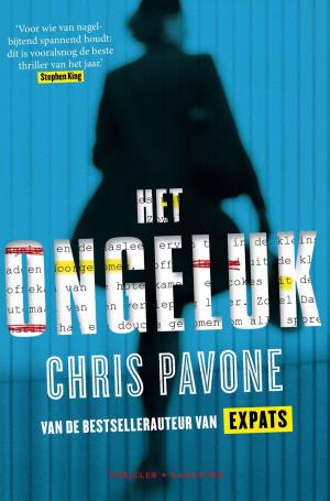 Cover of the book Het ongeluk by Pim Fortuyn