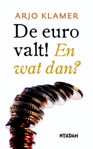Cover of the book De euro valt! by Roos Schlikker
