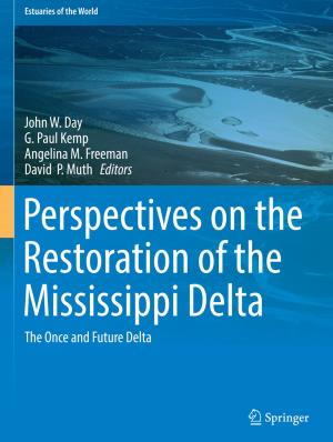 Cover of the book Perspectives on the Restoration of the Mississippi Delta by Velde