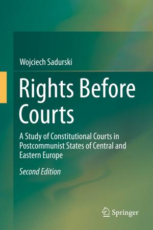 Cover of the book Rights Before Courts by Nozomu Yoshida