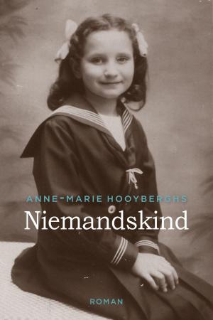 Cover of the book Niemandskind by Andrew E. Stevens