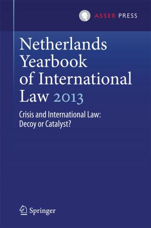 bigCover of the book Netherlands Yearbook of International Law 2013 by 