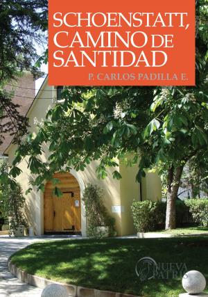 Cover of the book Schoenstatt, Camino de Santidad by José Kentenich