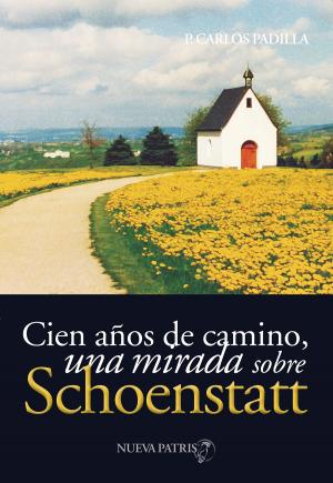 Cover of the book Cien años de camino by José Kentenich