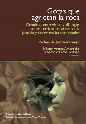 Cover of the book Gotas que agrietan la roca by Santiago Castro Gómez