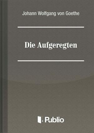 Cover of the book Die Aufgeregten by Marosi Katalin