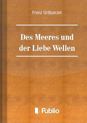 Cover of the book Des Meeres Und Der Liebe Wellen by Matthew Hopkins