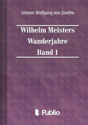 Book cover of Wilhelm Meisters Wanderjahre Band 1