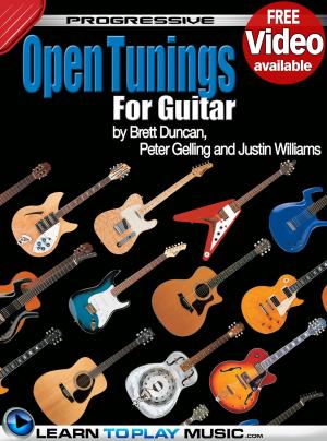 Cover of the book Open Tuning Guitar Lessons by LearnToPlayMusic.com, Peter Gelling