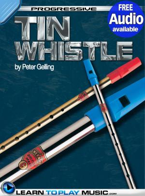 Cover of the book Tin Whistle Lessons for Beginners by LearnToPlayMusic.com, Brett Duncan, Peter Gelling, Justin Williams