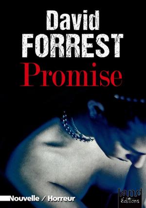 Cover of the book Promise by Tom Lee