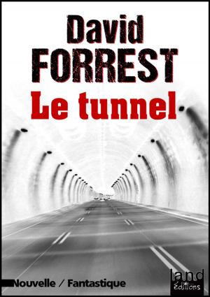 Book cover of Le tunnel
