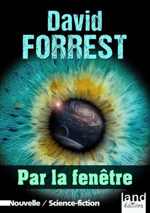 Cover of the book Par la fenêtre by Joseph DiMari