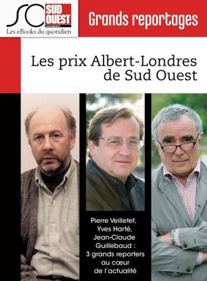 Cover of the book Les prix Albert-Londres de Sud Ouest by Journal Sud Ouest, Yves Harté, Christophe Lucet