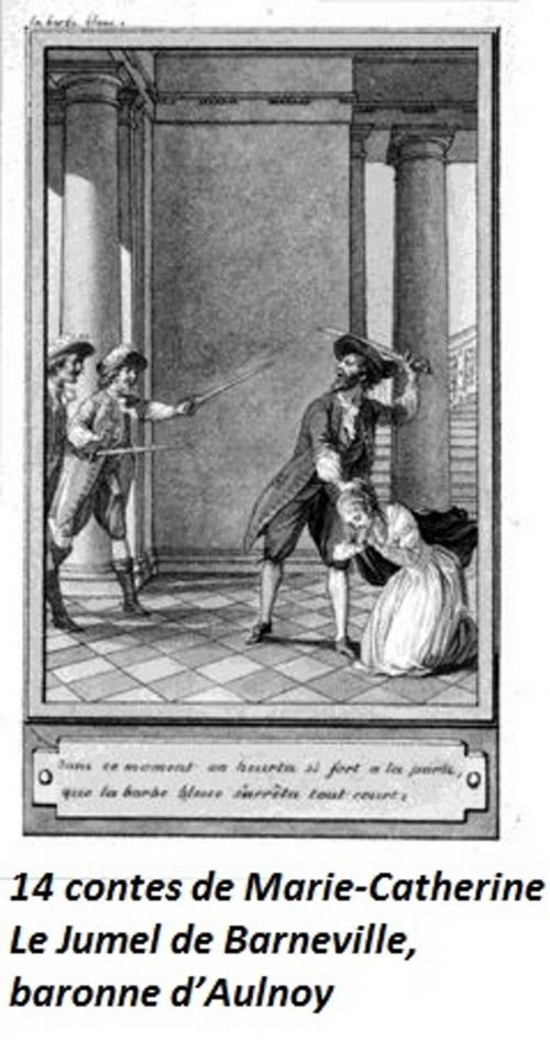 Cover of the book 14 contes de Marie-Catherine Le Jumel de Barneville, baronne d’Aulnoy by Marie-Catherine Le Jumel de Barneville, baronne d’Aulnoy, Line BONNEVILLE, Line.B