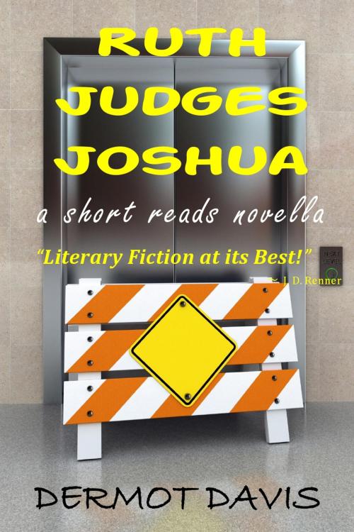 Cover of the book RUTH JUDGES JOSHUA by Dermot Davis, EXU PUBLISHING