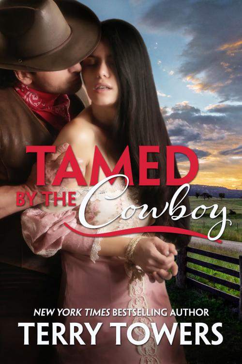 Cover of the book Tamed By The Cowboy by Terry Towers, Soft & Hard Erotic Publishing