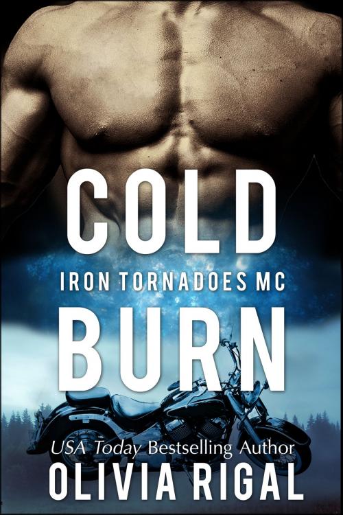 Cover of the book Cold Burn by Olivia Rigal, Lady O Publishing
