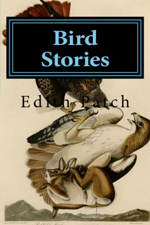 Cover of the book Bird Stories by Edith Patch, True North
