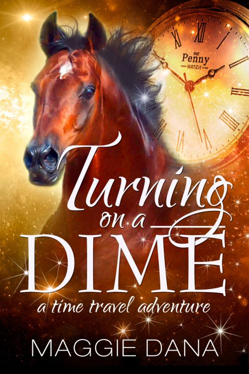 Cover of the book Turning on a Dime by Maggie Dana, Pageworks Press