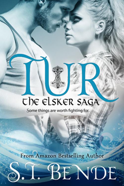 Cover of the book Tur by S.T. Bende, S.T. Bende
