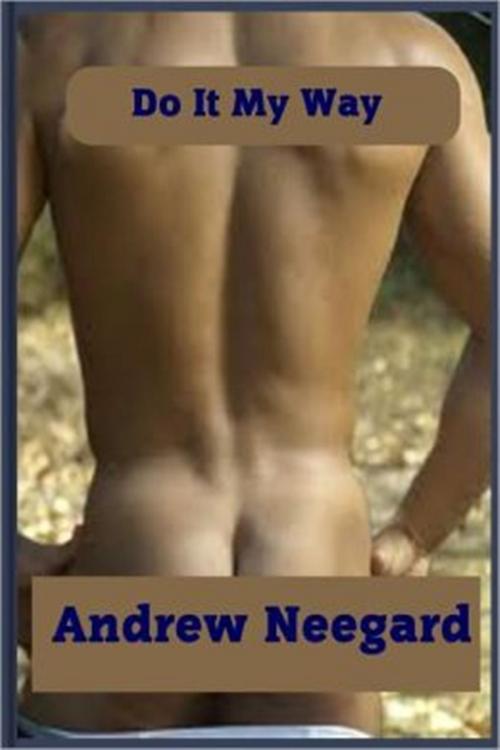 Cover of the book Do It My Way by Andrew Neergard, Sinful Tales