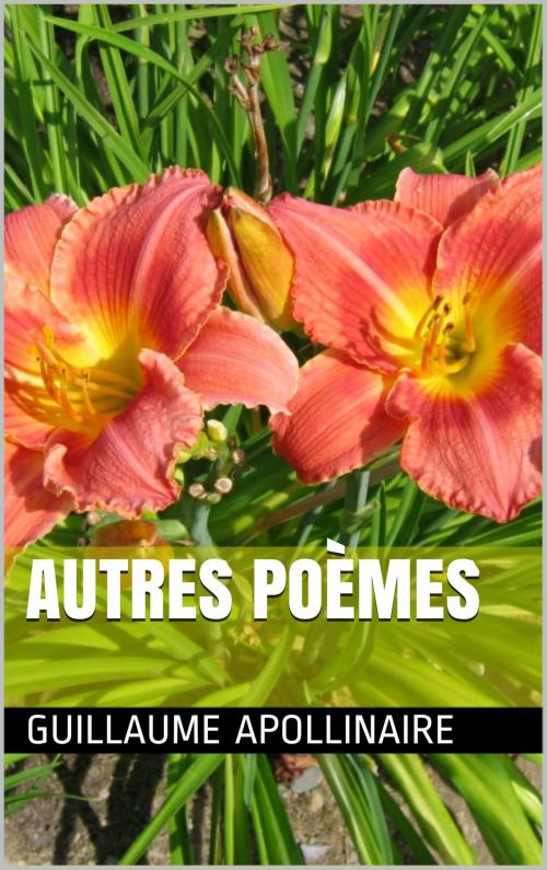 Cover of the book Autres poèmes by Guillaume Apollinaire, NA