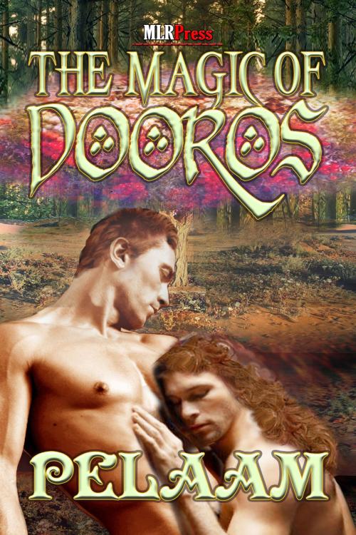 Cover of the book The Magic of Dooros by Pelaam, MLR Press