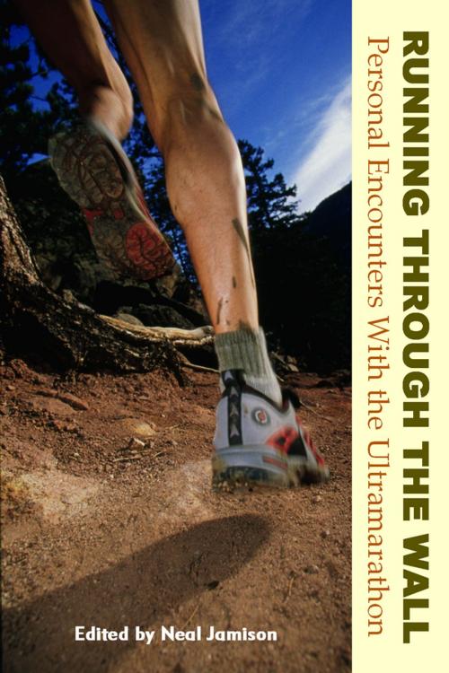 Cover of the book Running Through the Wall by Neal Jamison, Breakaway Books