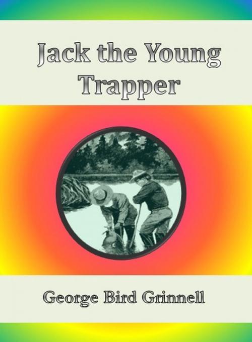 Cover of the book Jack the Young Trapper by George Bird Grinnell, cbook6556