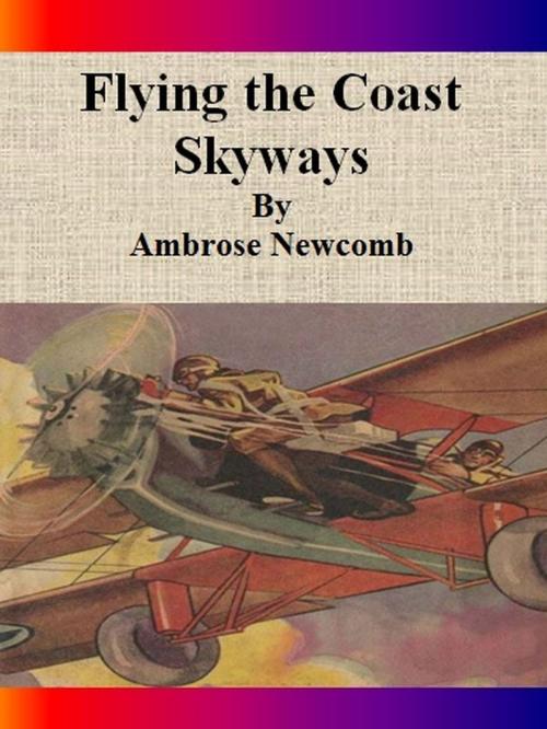 Cover of the book Flying the Coast Skyways by Ambrose Newcomb, cbook6556