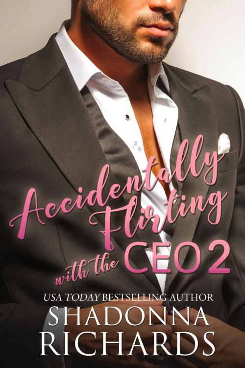 Cover of the book Accidentally Flirting with the CEO 2 by Shadonna Richards, Shadonna Richards