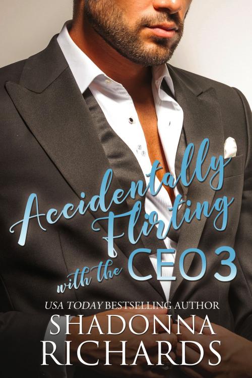 Cover of the book Accidentally Flirting with the CEO 3 by Shadonna Richards, Shadonna Richards