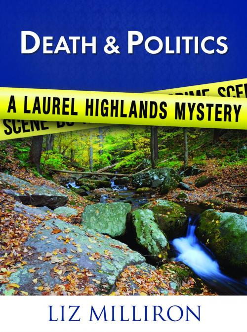 Cover of the book Death & Politics by Liz Milliron, Mary Sutton