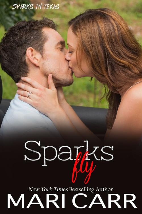 Cover of the book Sparks Fly by Mari Carr, Carried Away Publishing