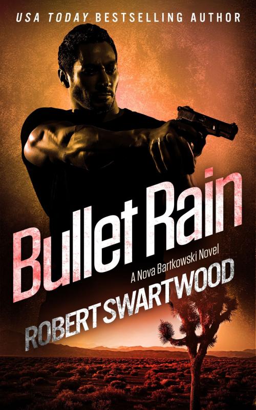 Cover of the book Bullet Rain by Robert Swartwood, RMS Press