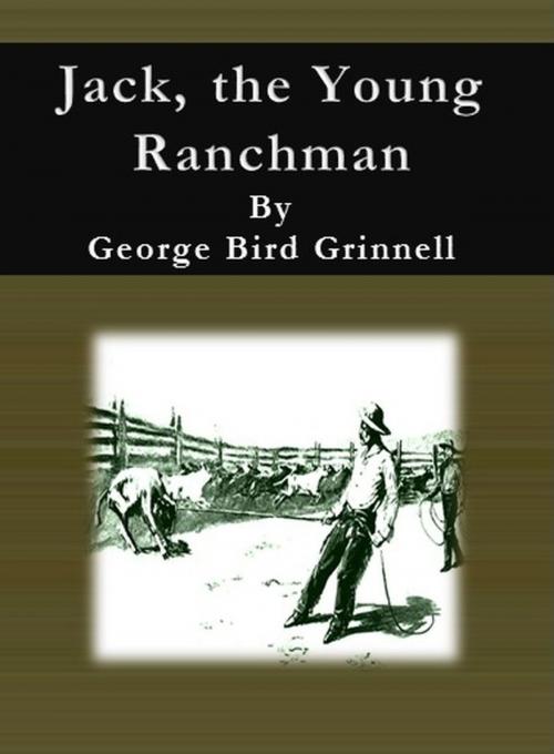 Cover of the book Jack, the Young Ranchman by George Bird Grinnell, cbook6556