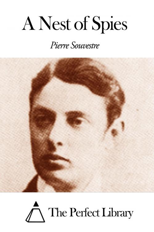 Cover of the book A Nest of Spies by Pierre Souvestre, The Perfect Library