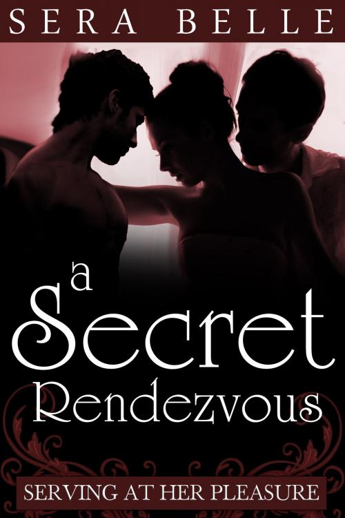 Cover of the book A Secret Rendez-vous by Sera Belle, Belle Presse