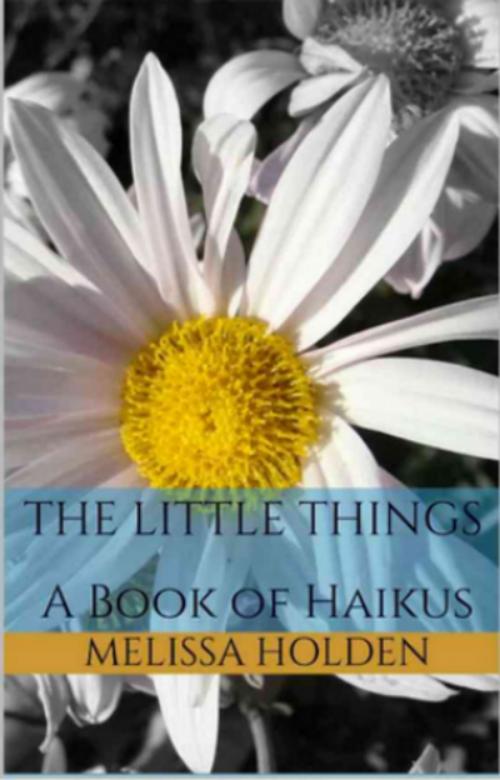 Cover of the book The Little Things by Melissa Holden, Amazon Kindle