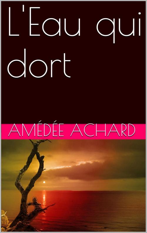Cover of the book L'Eau qui dort by Amédée Achard, NA