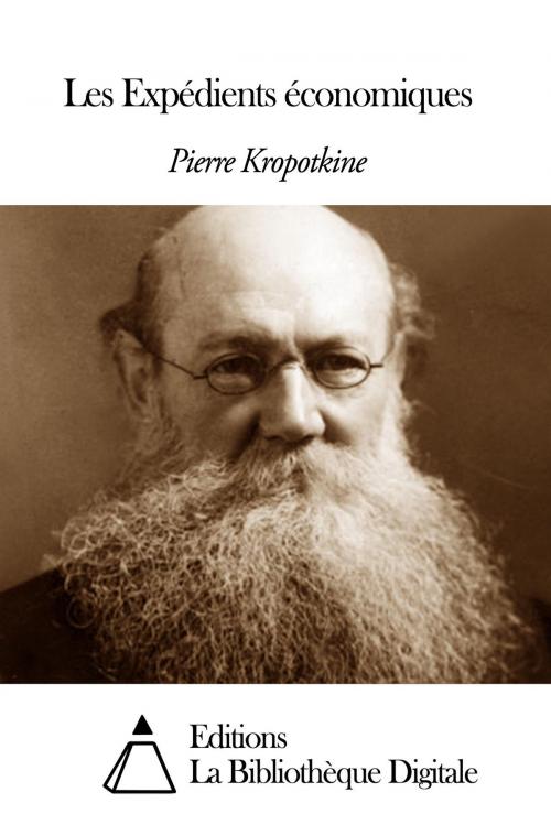 Cover of the book Les Expédients économiques by Pierre Kropotkine, Editions la Bibliothèque Digitale